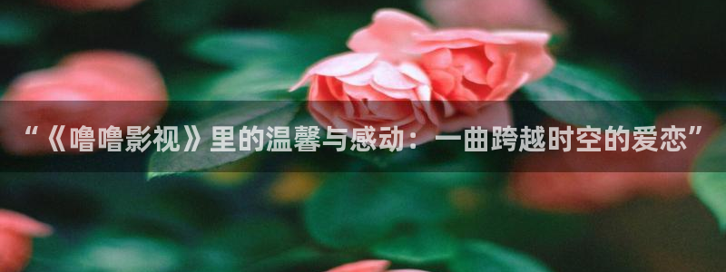 木瓜影院在線觀看