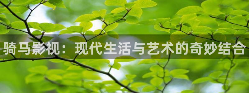 木瓜視頻電影