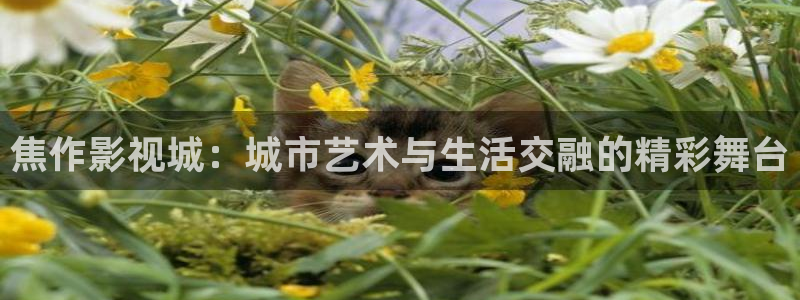 木瓜影院電影電視劇免費